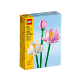 40647: Creator: Botanical: Lotus Flowers